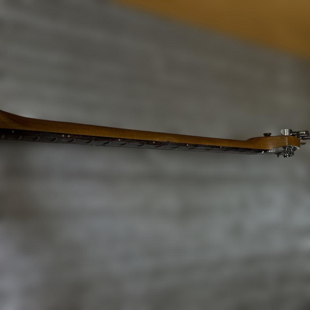 FERNANDES フェルナンデス ZO-3 アンプ内蔵エレキギター　ゾウさん