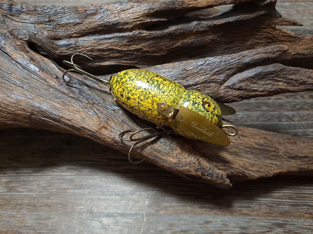 道楽　DOWLUCK　ドウラク　アブラゼミ　唐白　研出し