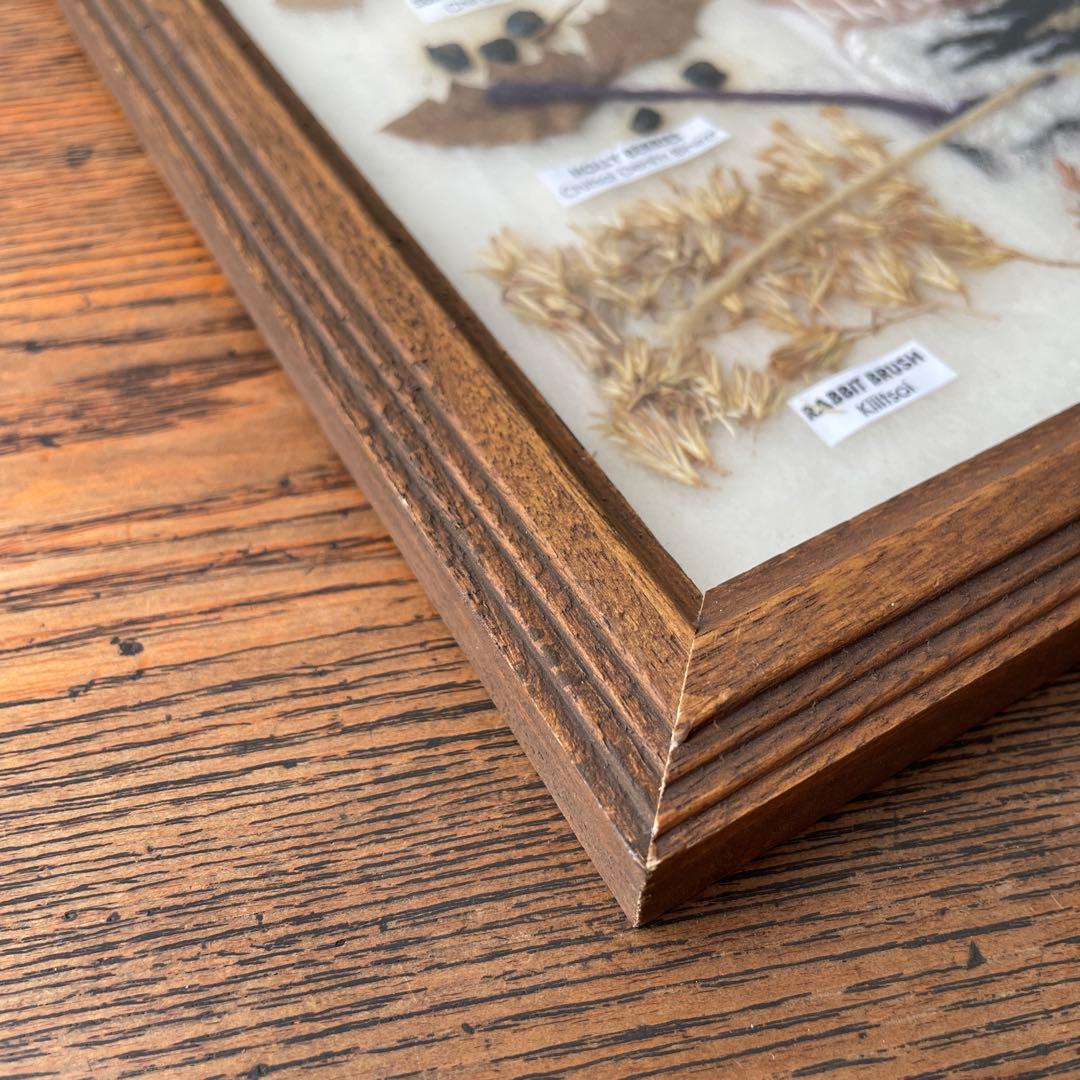 ネイティブアメリカン ナバホ族 草木染め 色見本 オルテガ 毛織物 額装 木製