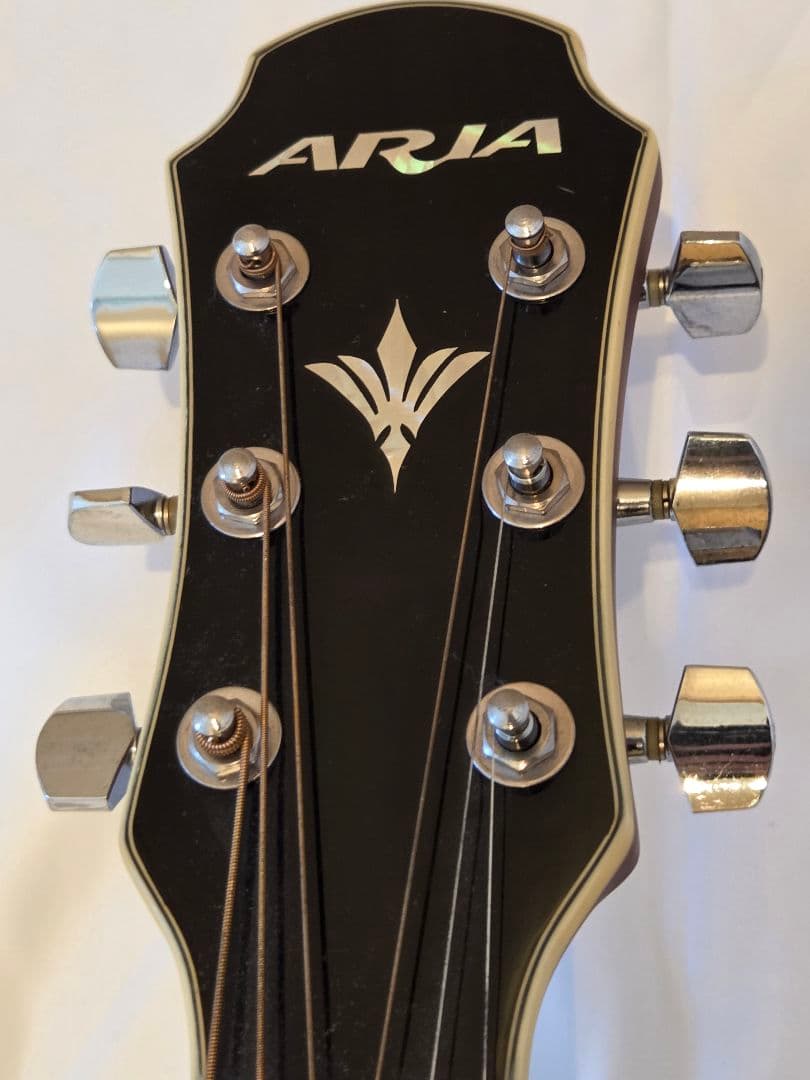 ARIA エレアコ　Elecord FET-STDRS