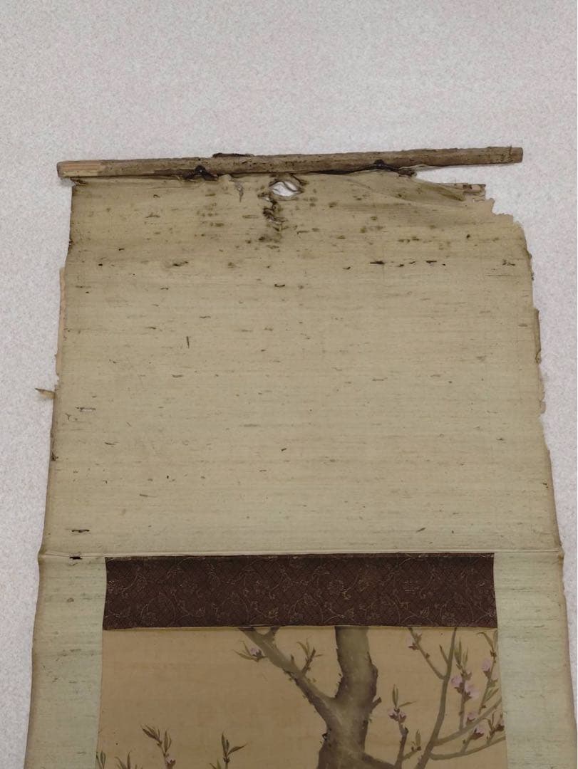 3-2866 掛軸　『庚子初秋写 應舉』　丸山応挙