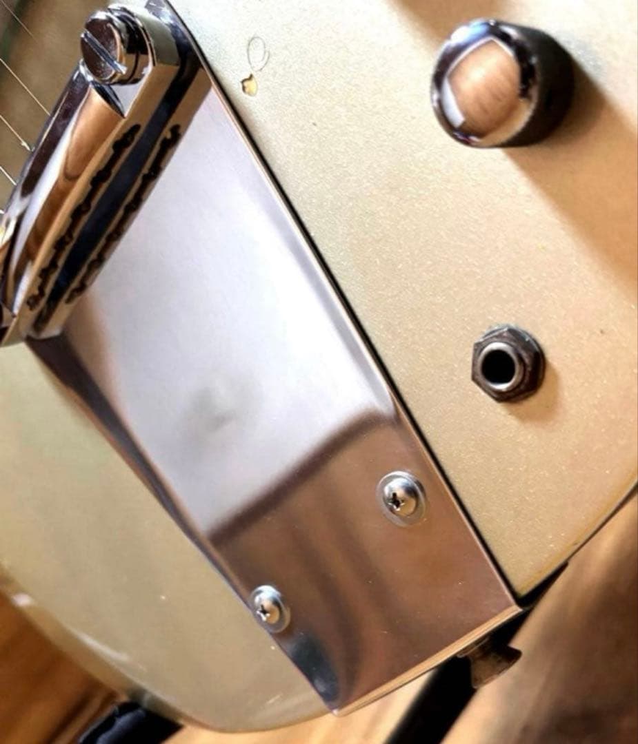 【1点物 カスタムテールピース付】Burny レスポールタイプ