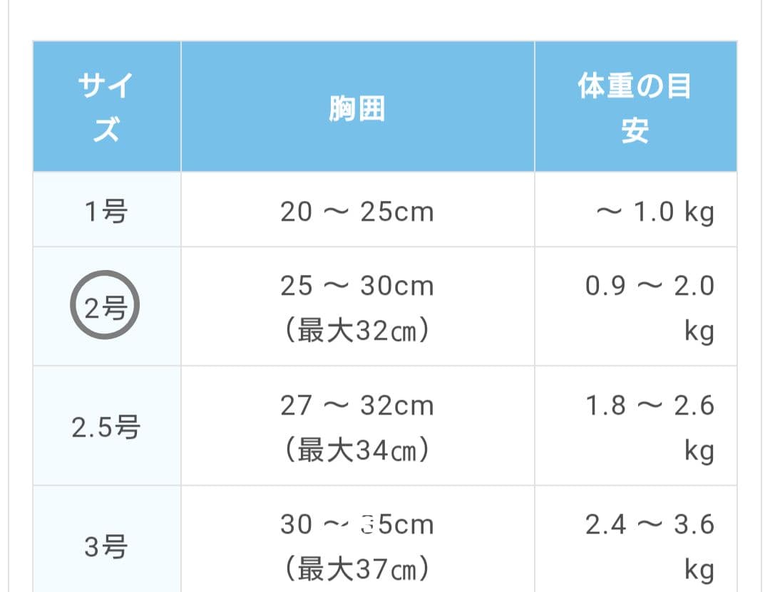バディベルト2号＆リードセット 人気色ラテ