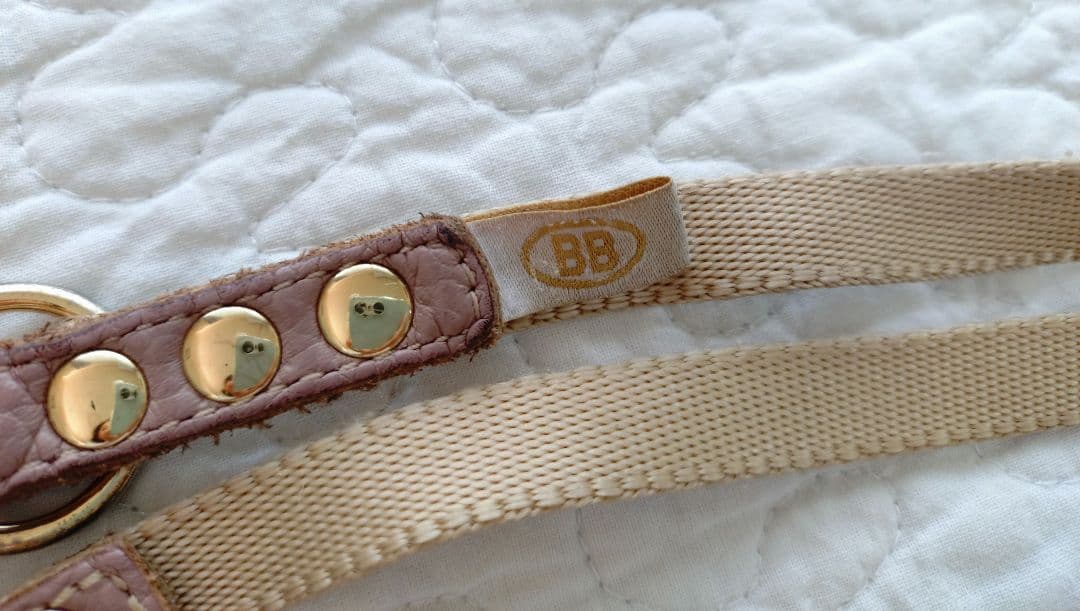 バディベルト2号＆リードセット 人気色ラテ