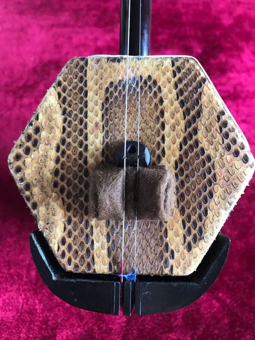 二胡★中古品★蛇本皮★必需品揃い★音など確認済み