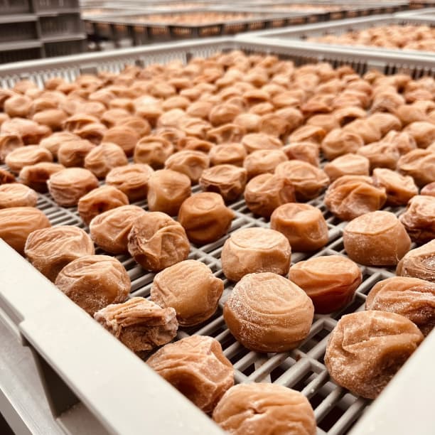 価格高騰！農家直送！紀州南高梅 樽 5000g 無添加 和歌山 紀州 白梅