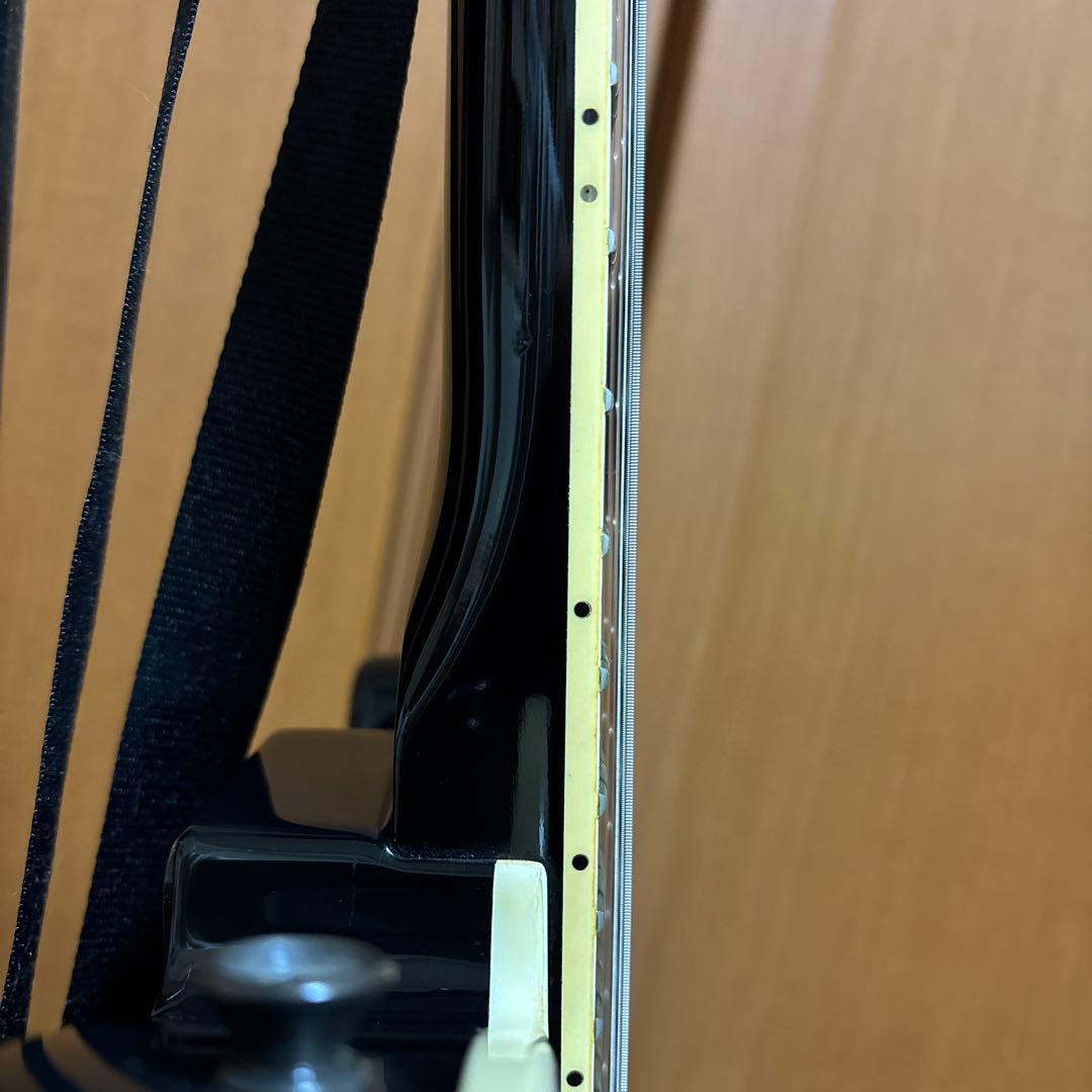 フェルナンデス　布袋モデル