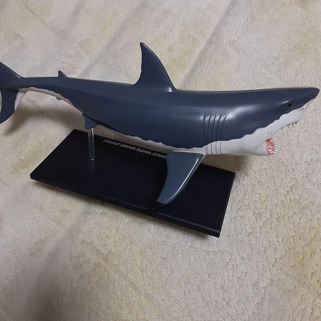 4D-VISON　マンタ　イルカ　サメ　フィギュア　解剖模型　パズル　3体セット