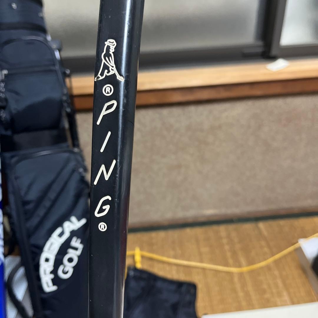 PROGICAL スタンドバッグ &スピードスティック　セット　本日取り消し