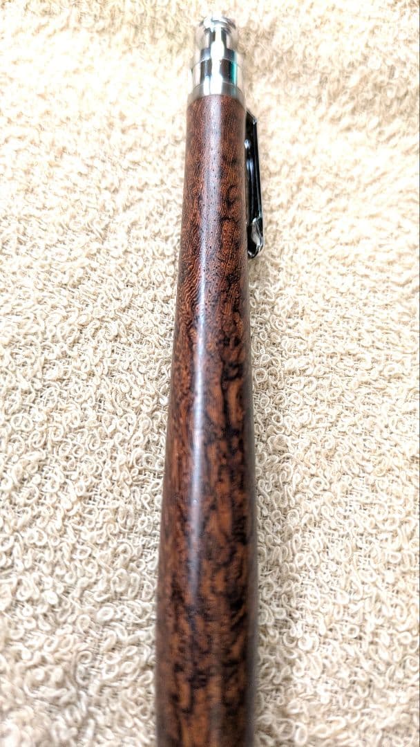 工房楔　ランセオラリア　ボールペン　 新宿個展作品