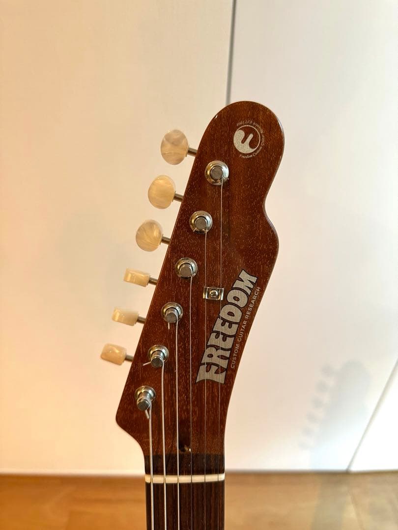 ギター FREEDOM / TE Green Pepper