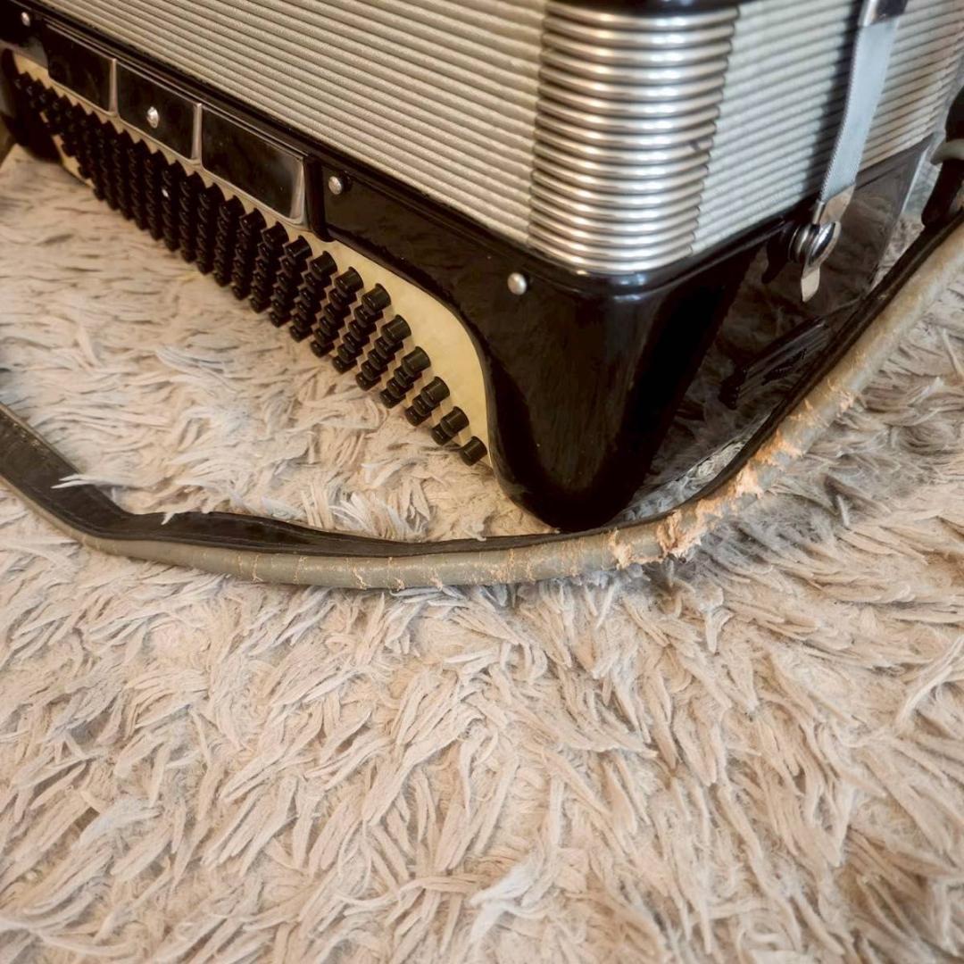 Excelsior エキセルシャー イタリア製 アコーディオン Model310