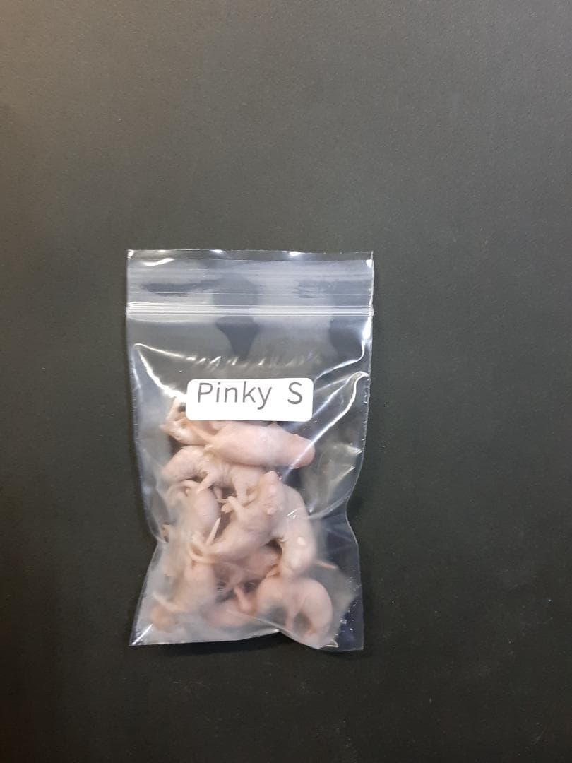 【on】国産冷凍マウス ピンクS 1000匹