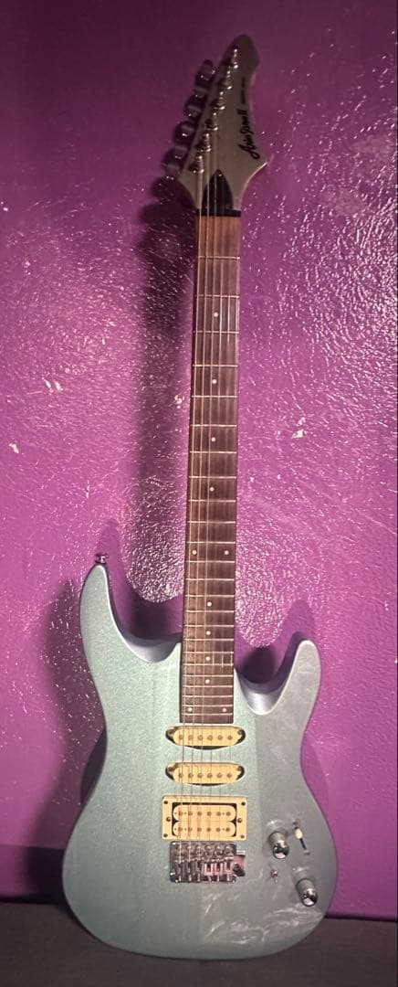 Aria proⅡ magna series