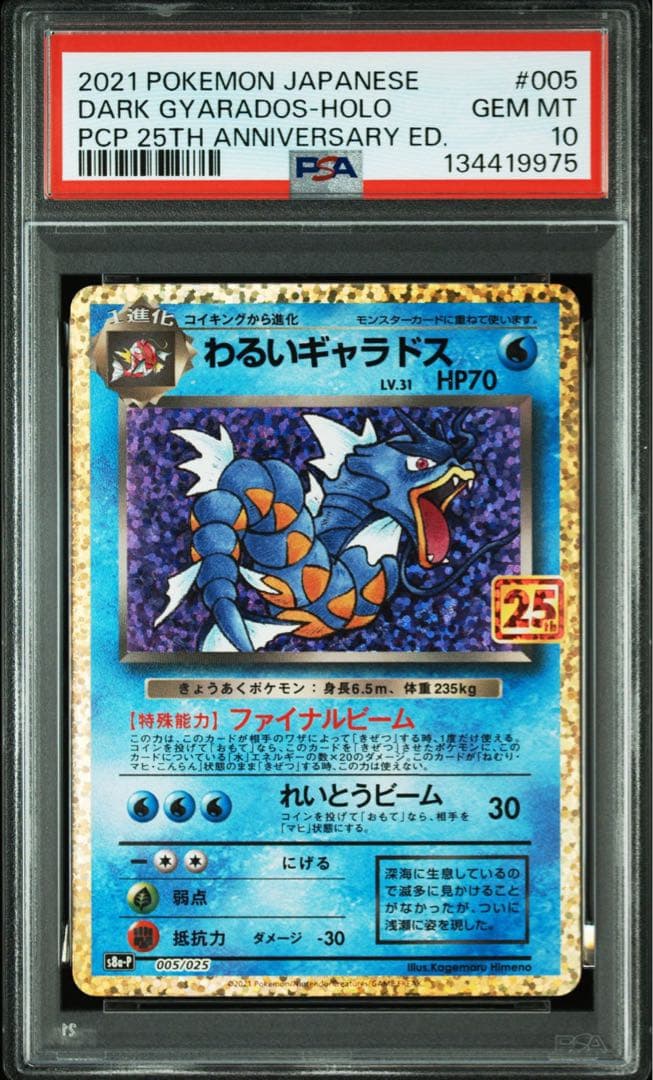 PSA10＊わるいギャラドス 25th プロモ 25周年 Gyarados