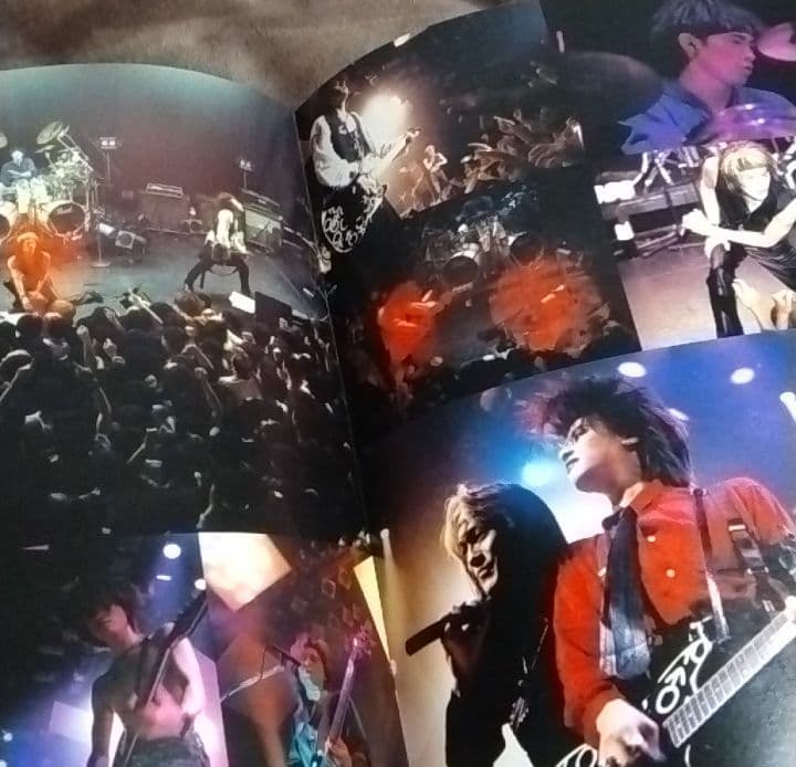 ミュージシャン DIE IN CRIES