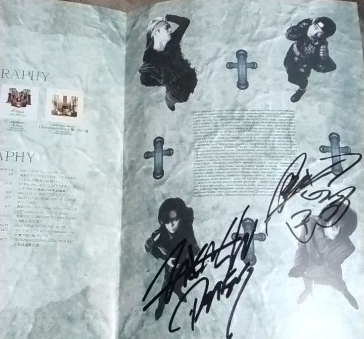 ミュージシャン DIE IN CRIES