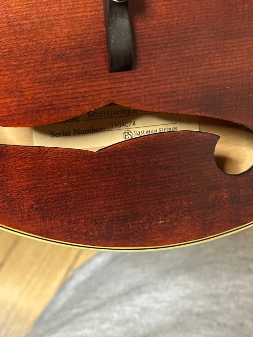 弦楽器 Eastman MD315/Antique Red