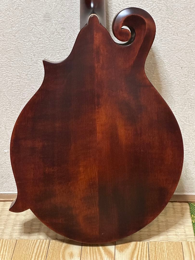 弦楽器 Eastman MD315/Antique Red
