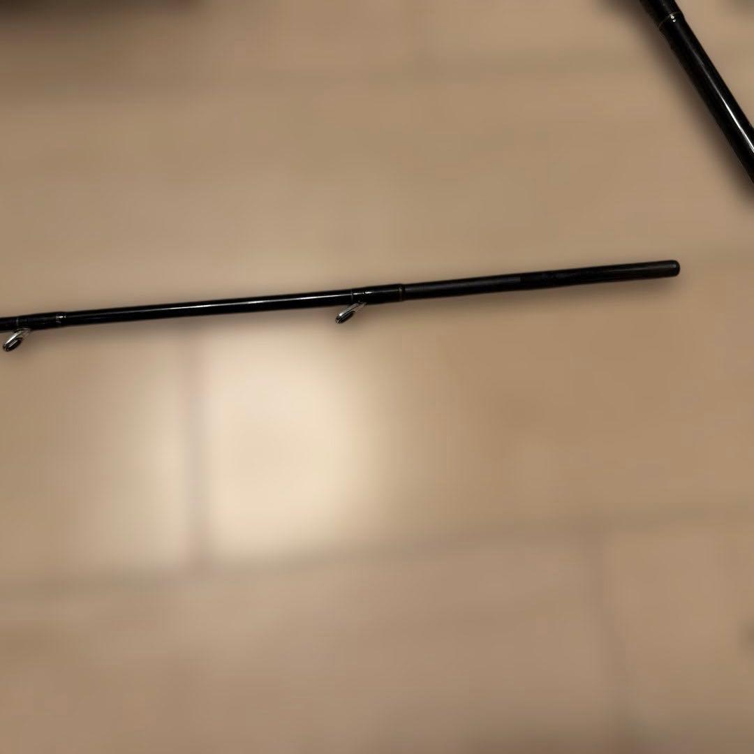 ダイワ HZ 剣崎アキアジスペシャル 310V 船竿 鉛負荷200～300号