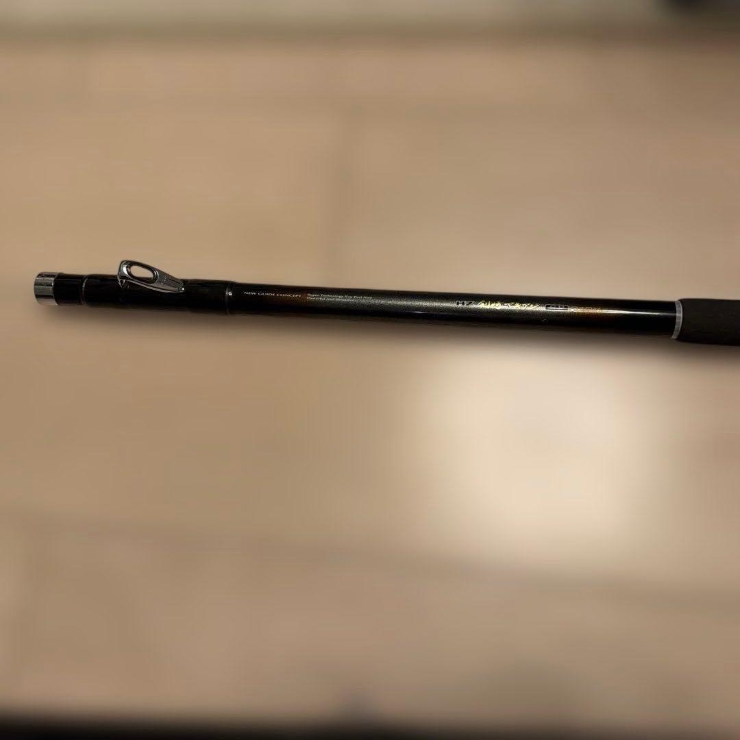 ダイワ HZ 剣崎アキアジスペシャル 310V 船竿 鉛負荷200～300号