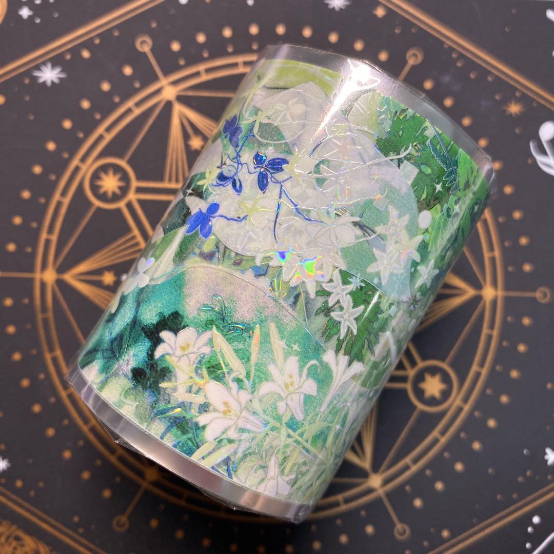 【9094】海外　マステ　3/5/巻　貝殻光マスキングテープ　緑　自然　背景系