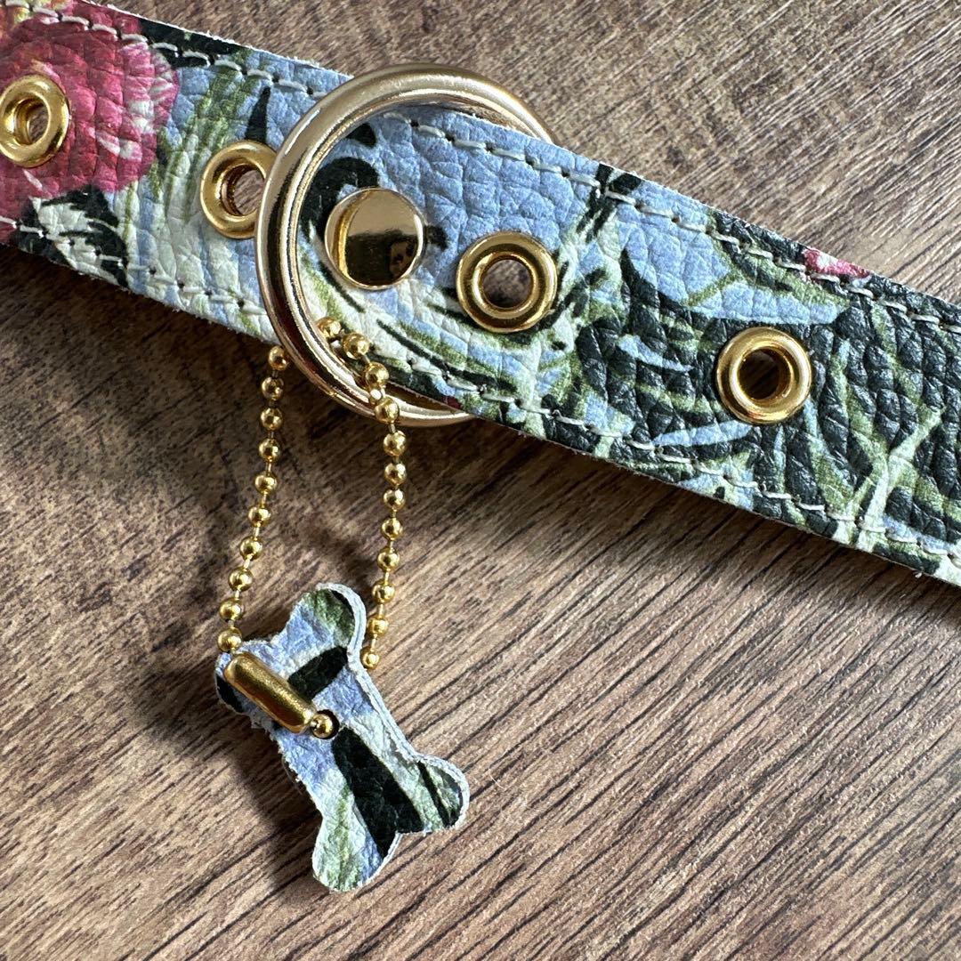 バディベルト　 BB バハマ 5号　 アクセントリード