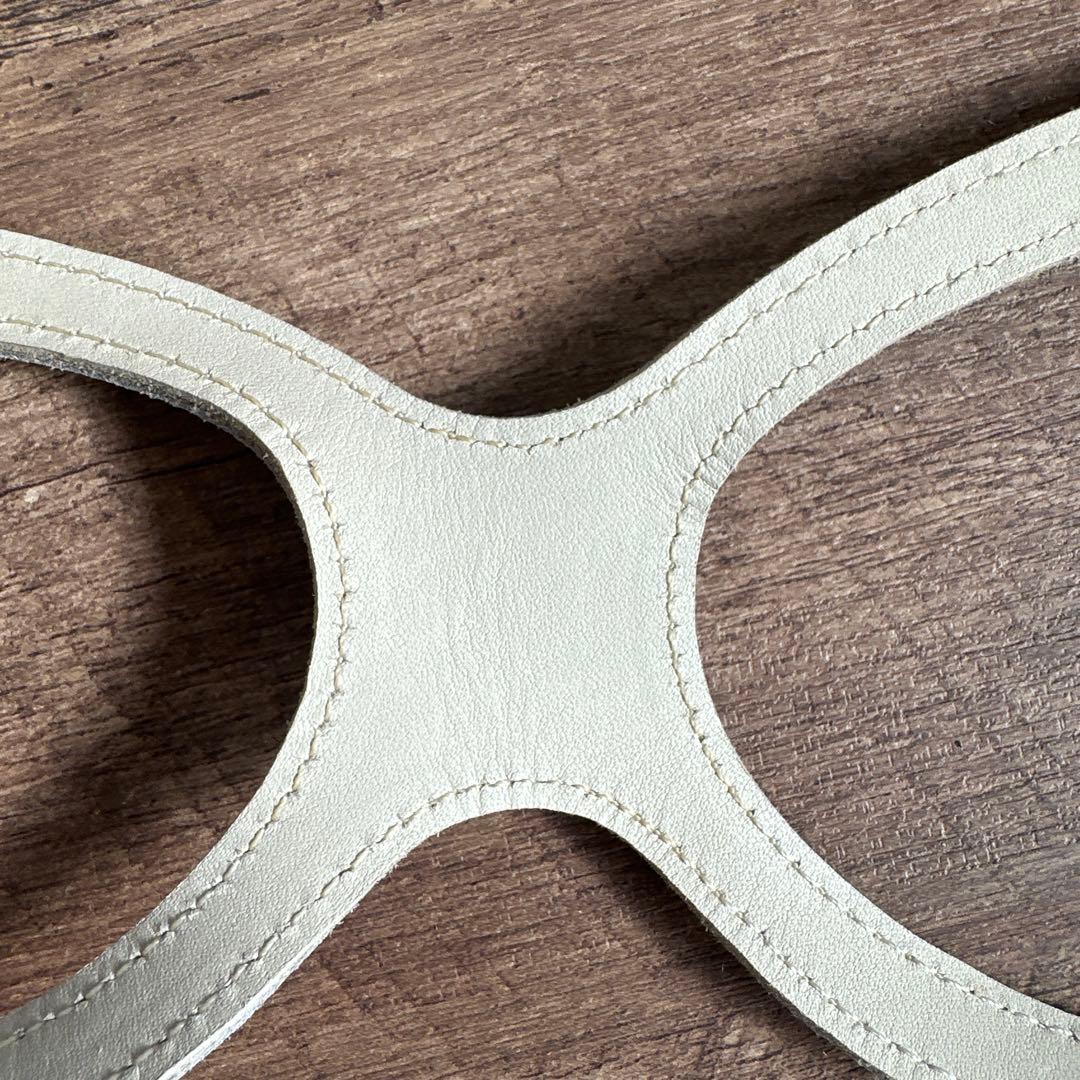 バディベルト　 BB バハマ 5号　 アクセントリード