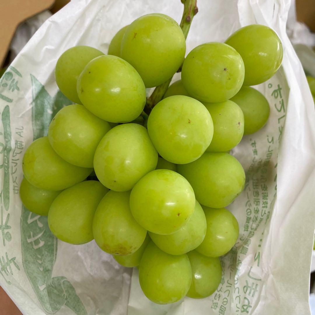 山梨県産　訳あり　家庭用　シャインマスカット　11房　箱込み5.6kg ⑭
