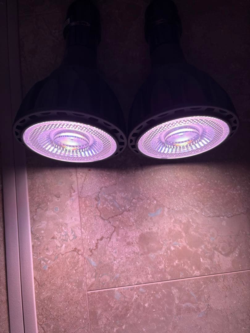 ヘリオスHELIOS AQUA LED HA20 暖色系2個セット 【RGB】