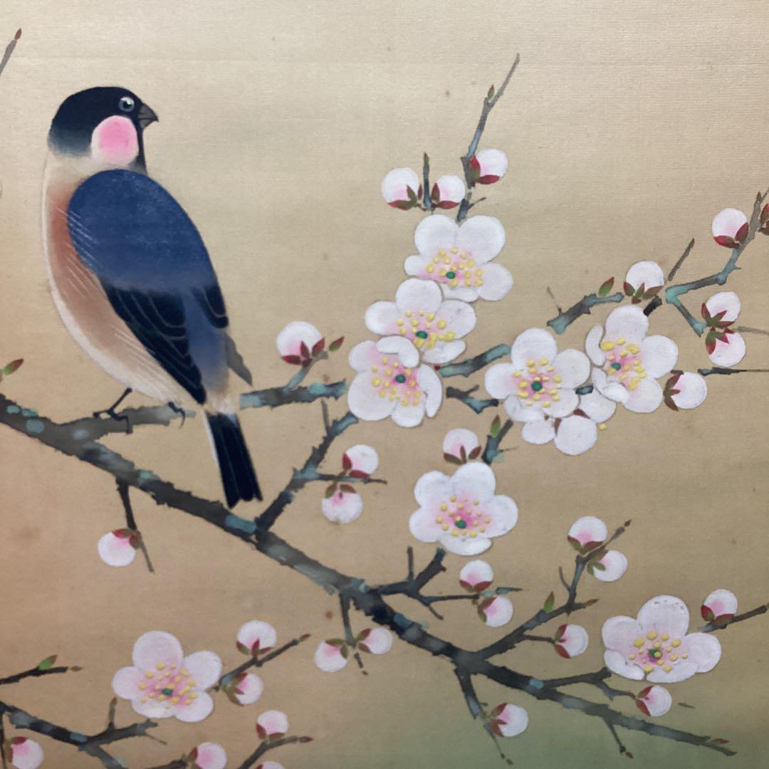 小倉篁華　絹本着色掛軸　【　梅に春告げ鳥図　】　自題共箱　肉筆画　模写　NO84