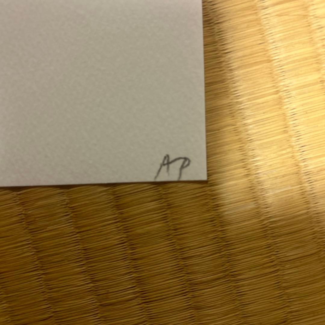 デスニューヨーク　奈良美智　2019 AP サイン入り