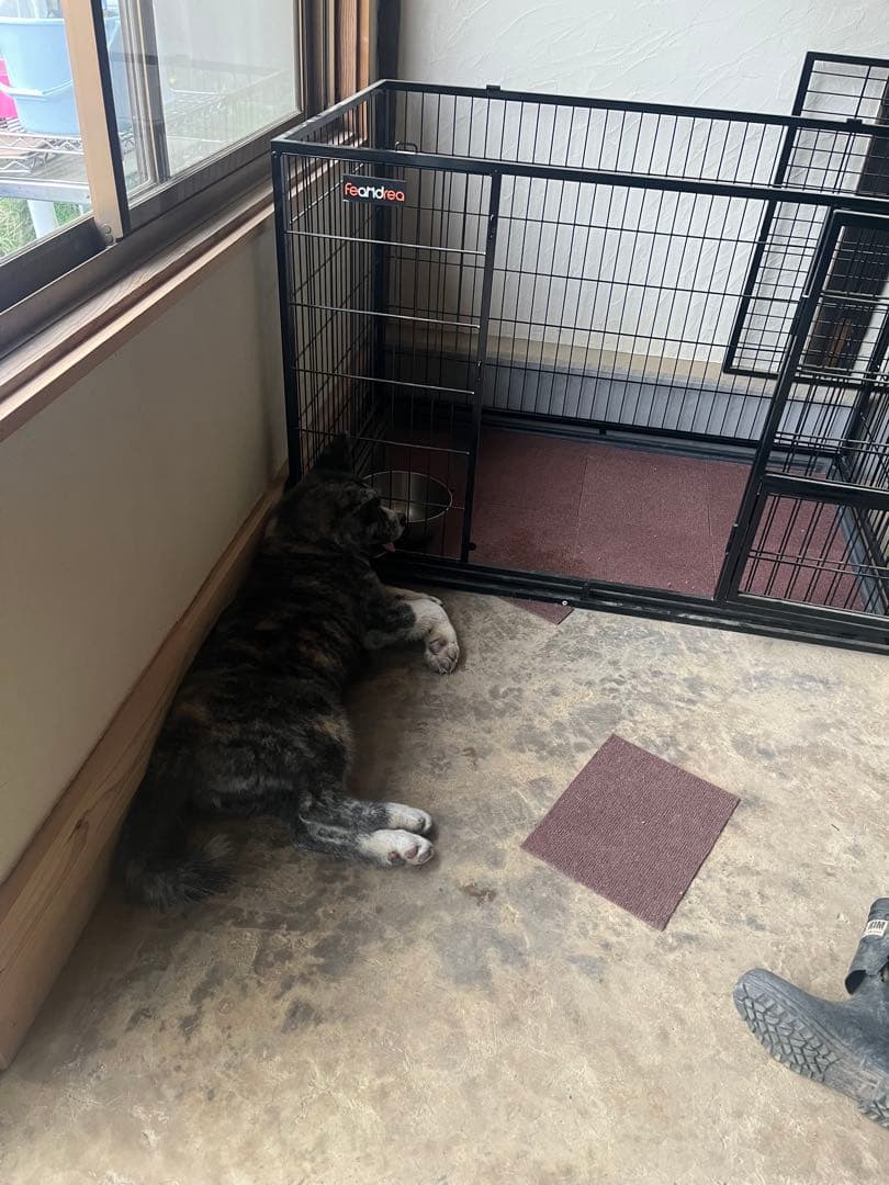 Fearndea 中型犬用ケージ 黒