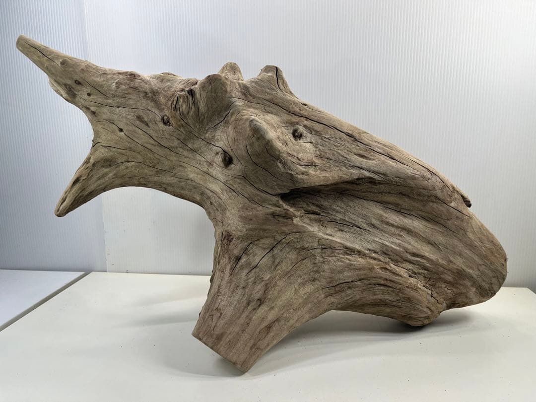 V68特大流木 アク抜き済み流木 爬虫類シェルター 登り木 インテリア 生け花