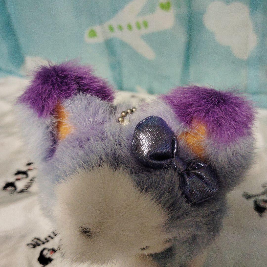 KITTY キティ ラベンダー ぬいぐるみ キタキツネ マスコット 北海道