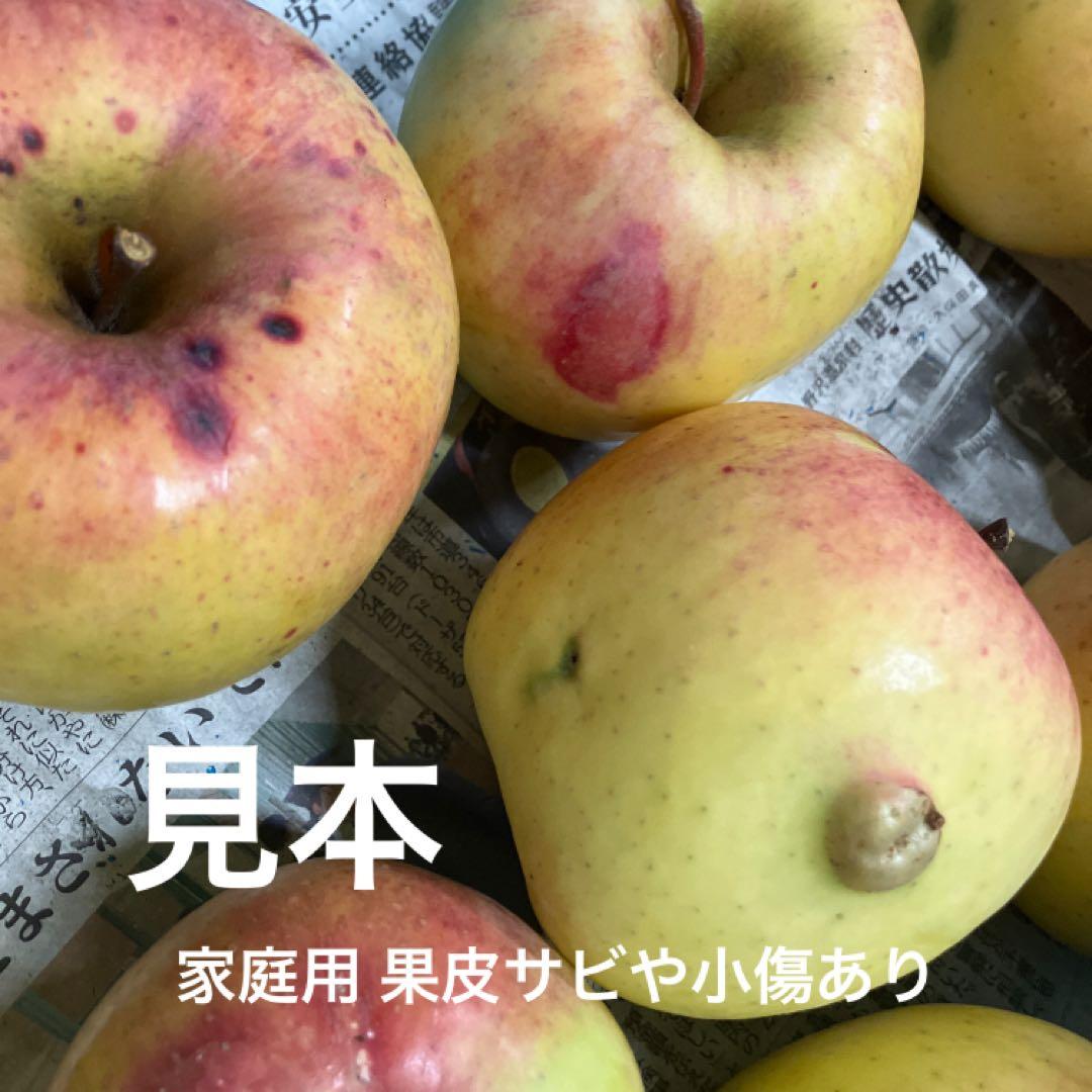 Ryu② ぐんま名月傷なし7kg×2