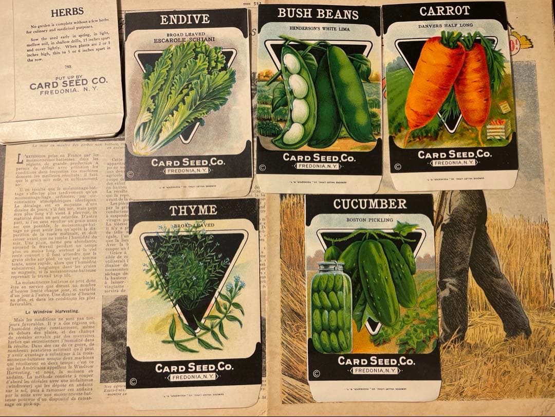 海外　ヴィンテージ　シードパケット10枚　a ジャンクジャーナル