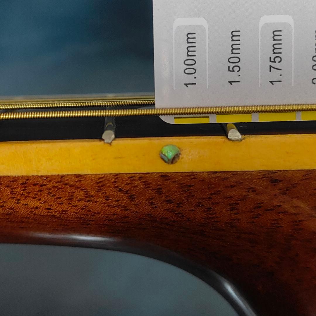 豪華アバロン！オールコア単板 アコースティックギター 龍インレイ フルコア 希少