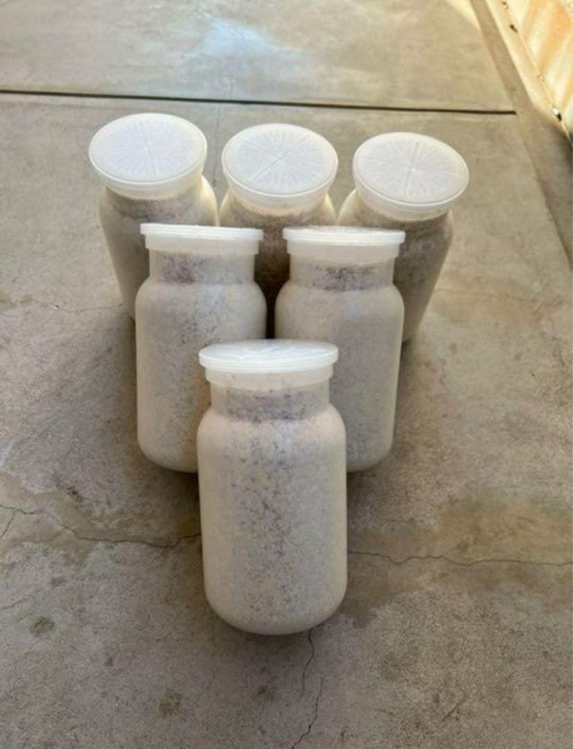 カワラ菌糸瓶1100 １０本