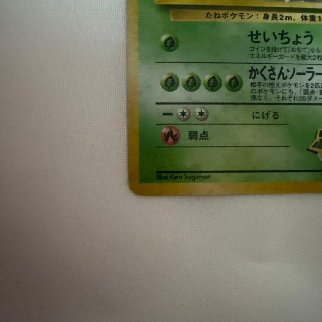 エリカのフシギバナ　旧裏面