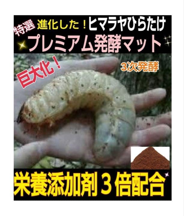 大人気！雑虫がわかない！完全室内製造！極上！プレミアム発酵カブトムシマット　8袋