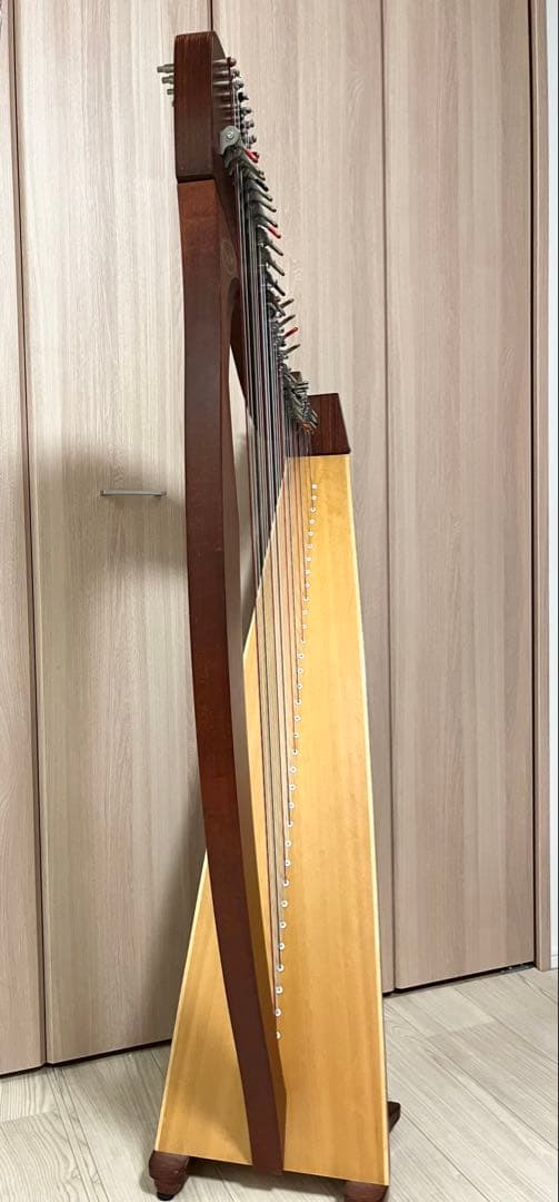Salvi MIA 34弦 レバーハープ アイリッシュハープ チューナー&カバー