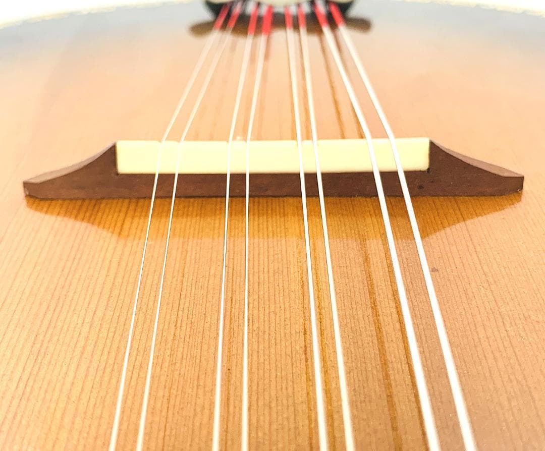 稀少 QUEEN クィーン フラット マンドリン No.124 【整備品】