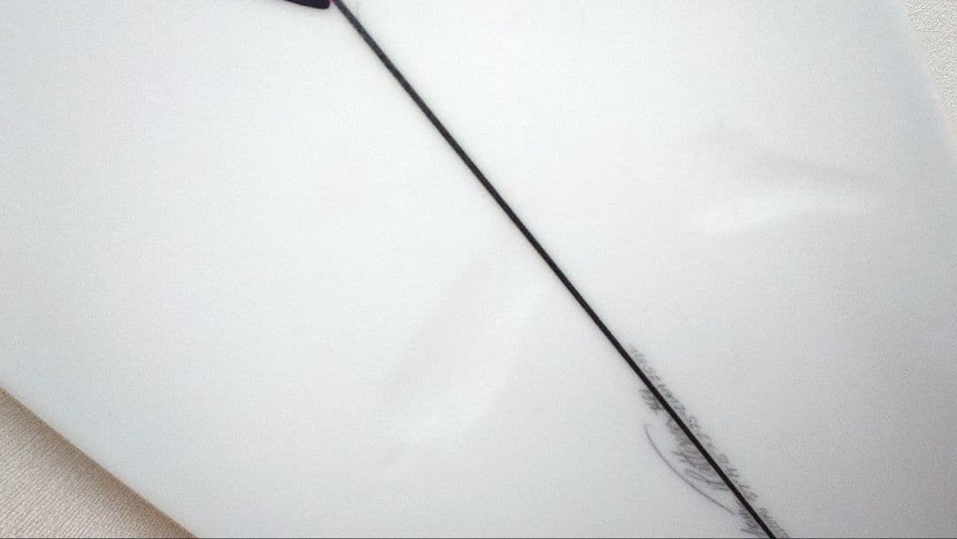 コンゴドッグ　　ティミーパターソン　THE CLAM（クラム）