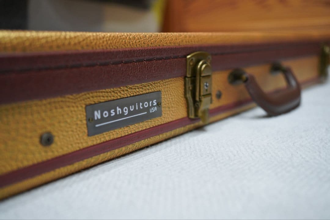 ギター Nashguitars S-63