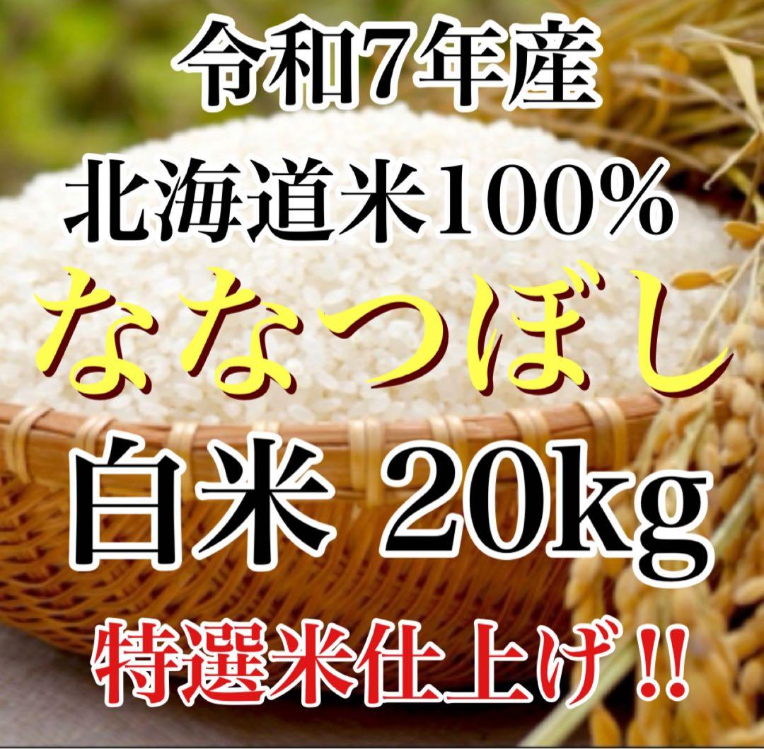 令和7年度産北海道米100%ななつぼし白米20キロ
