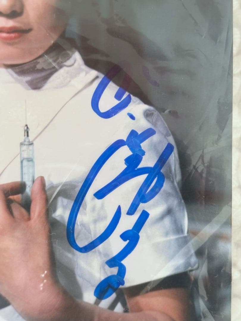 アンヌ ポートレート ひし美ゆり子 直筆サイン/ウルトラヒロイン伝説 特典