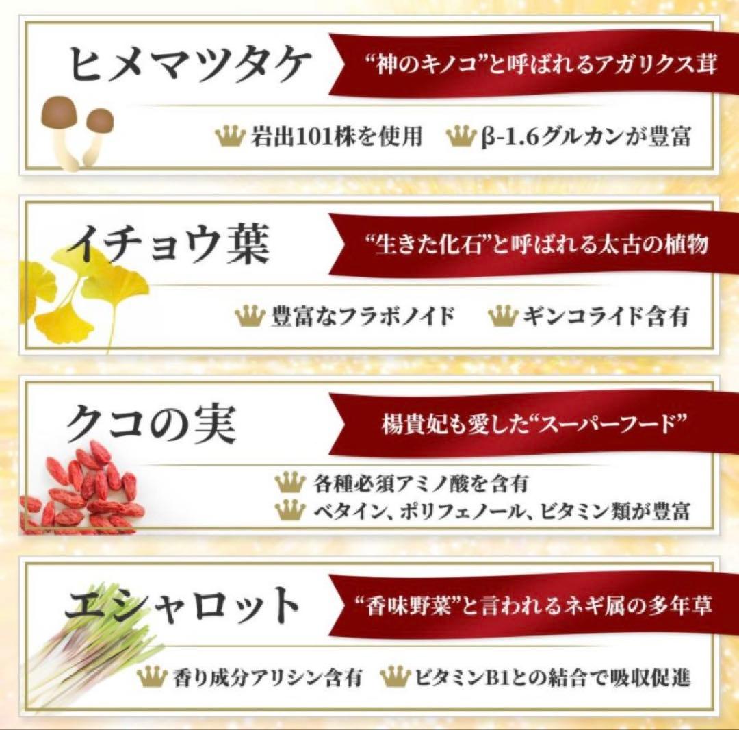 マイクロアルジェ〜阿拉善〜　【未開封❺箱/特価価格】