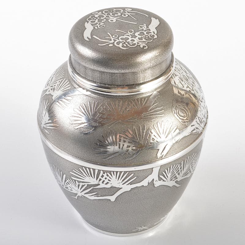 煎茶道具　錫半製　上錫　松文　茶壷　茶心壷　約446g　共箱　M　R6334