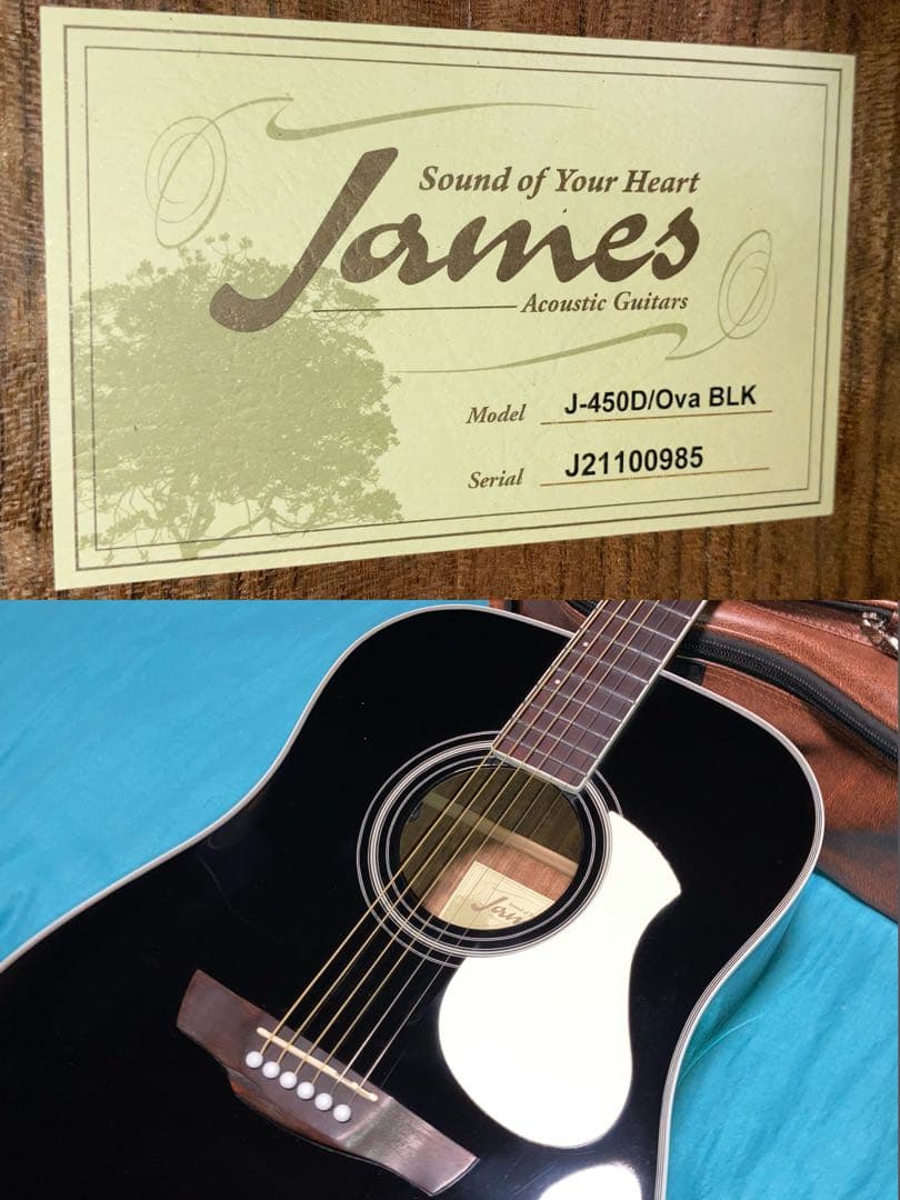 James J-450D/Ova BLK ジェームスエレアコギター